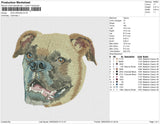 dog 290323b