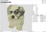 dog 110523b