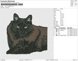 cat v11022023b