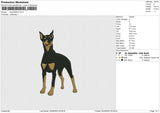 Dog 030523
