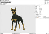 Dog 030523