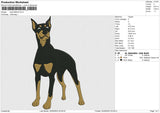 Dog 030523