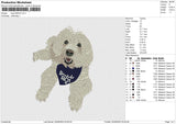 Dog 030524