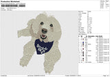 Dog 030524