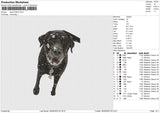 Dog 270923 Embroidery File 6 size
