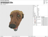 dog b 030423