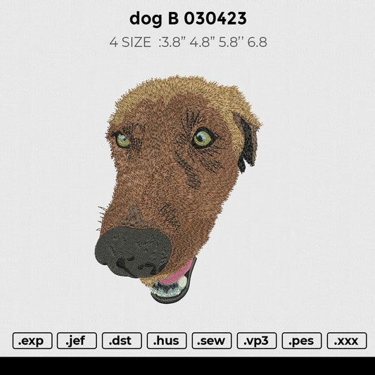 dog b 030423