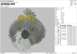 dog v70