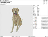 dog v73
