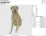 dog v73 Embroidery